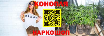 гашик Татарск